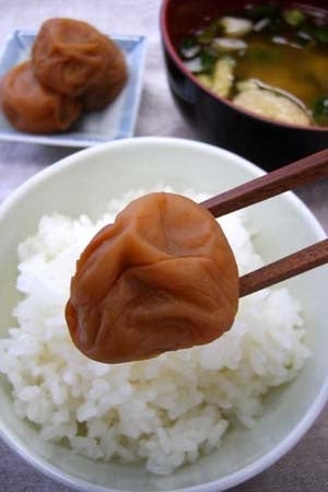 ＜産地直送JAタウン＞ 卵かけご飯専用醤油「おたまはん」