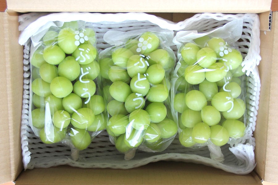 本気農場いけだシャインマスカット 約2kg(3-4房) 10月1日以降発送