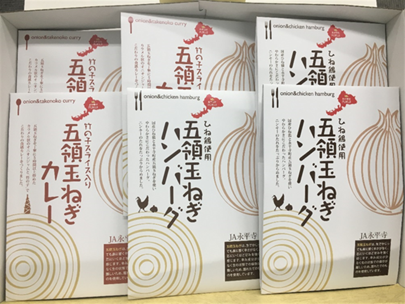 五領玉ねぎカレー・ハンバーグセット