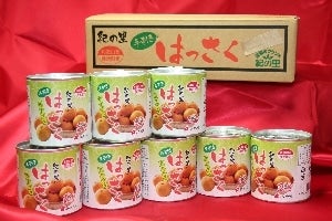 ＜産地直送JAタウン＞ 【がんばれ受験生!!合格あんぽ柿】 学文路(かむろ)天満宮ご祈祷札入 ★１月１４日〜順次発送