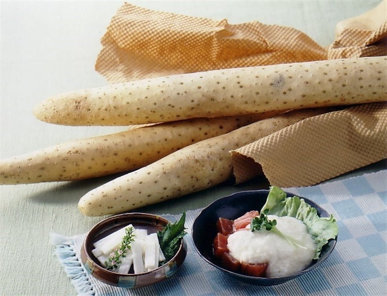 ＜産地直送JAタウン＞ 【ご家庭用】乾しいたけ(どんこ＆こうしん)