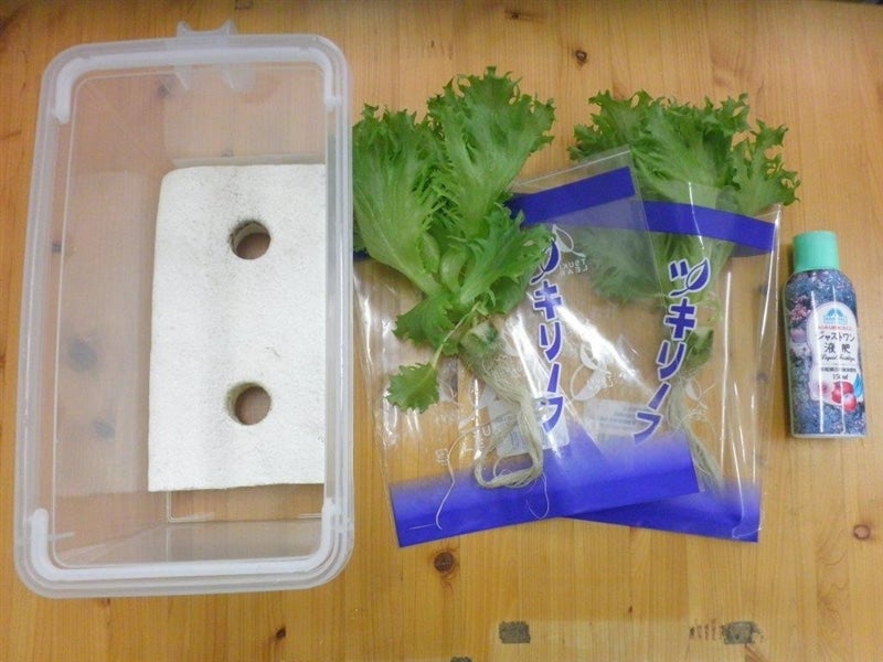 キッチン野菜栽培キット