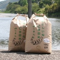 ＜産地直送JAタウン＞ 特別栽培ヒノヒカリ玄米１０ｋｇ 四万十川沿いで育ちました♪