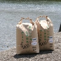 ＜産地直送JAタウン＞ 特別栽培ヒノヒカリ玄米１０ｋｇ 四万十川沿いで育ちました♪画像