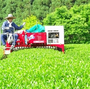 ＜産地直送JAタウン＞ 有機栽培（ＪＡＳ認証） 下郷一番茶 （２点セット）画像