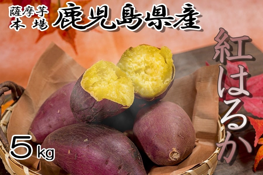 ＜産地直送JAタウン＞ 【新登場！！】ＪＡ種子屋久産 安納こがね（安納芋）   約１．５ｋｇ