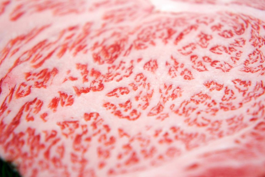 【お歳暮】【いい肉の日】 宝牧場近江牛ロースすき焼き 500g