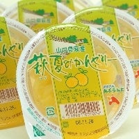 ■サマーキャンペーン開催中!!夏みかんゼリーがお買い得です(平成30年7月2日掲載)