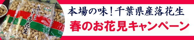 ���Ԑ��@�t�̂��Ԍ��L�����y�[��