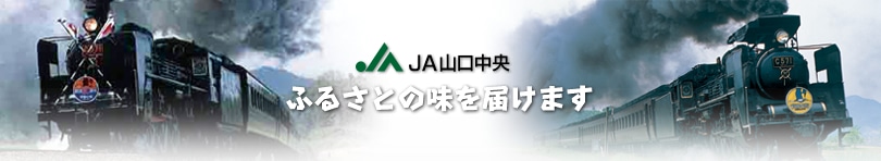 JA�R������