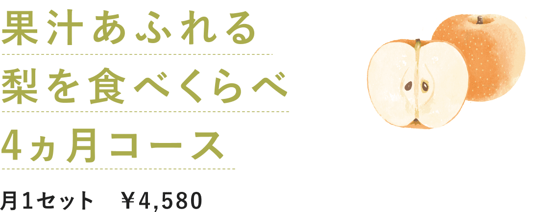 ʏ`ӂ Hׂ 4R[X
