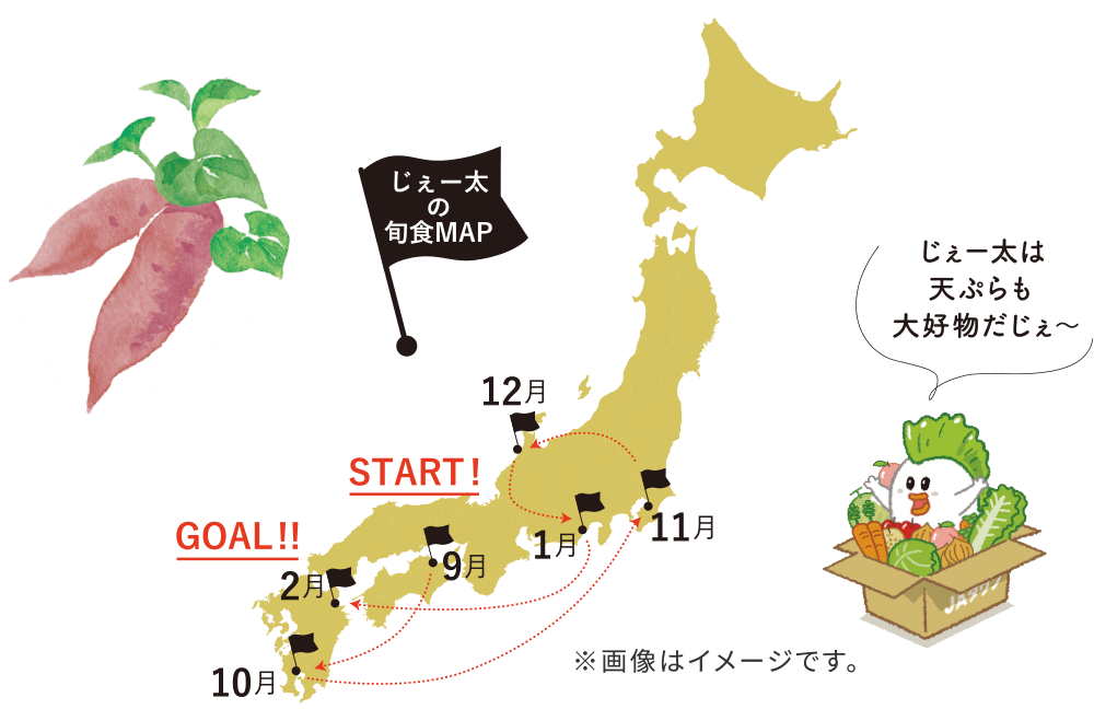 [̏{HMAP