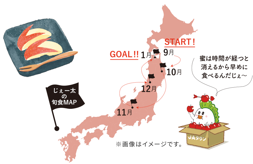 [̏{HMAP