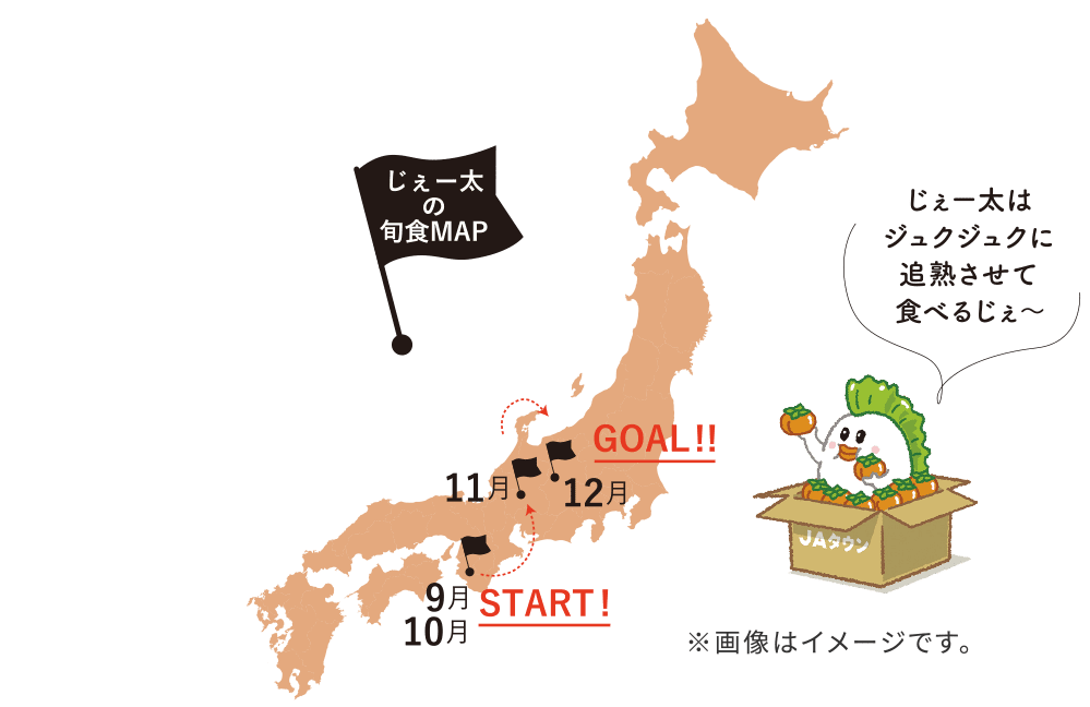 [̏{HMAP