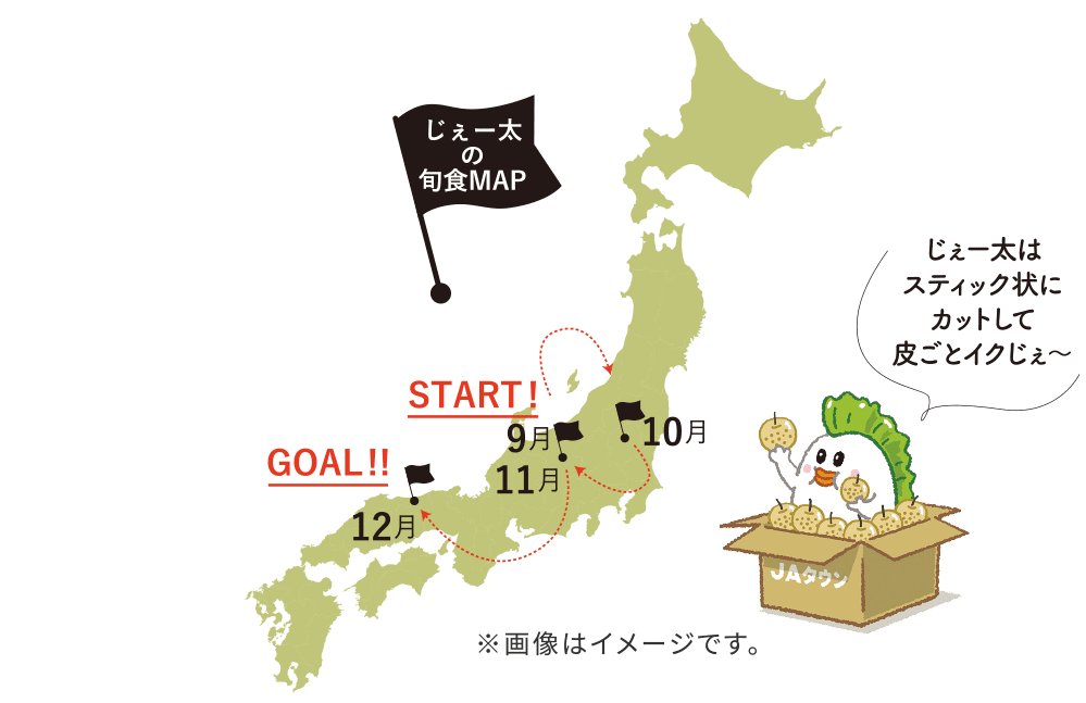 [̏{HMAP