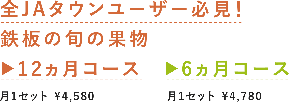 SJA^E[U[KIS̏{̉ʕ 12R[X 6R[X