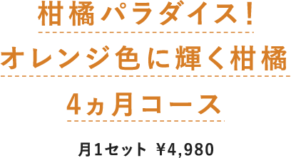 kp_CXIIWFɋPk4R[X