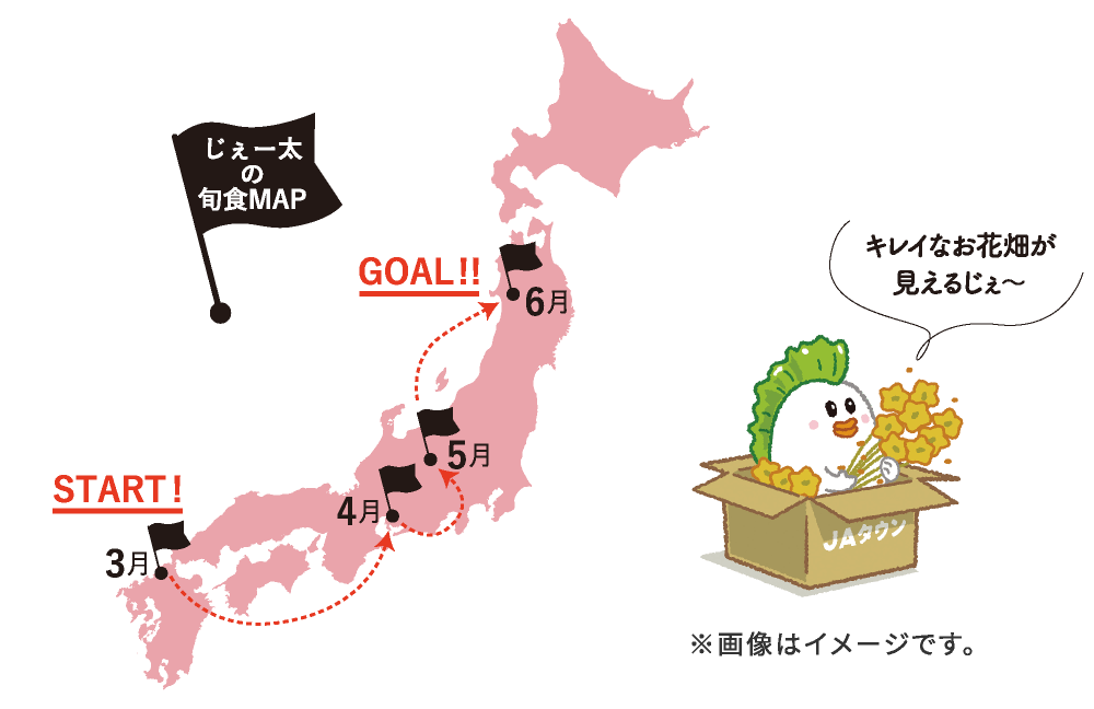 [̏{HMAP
