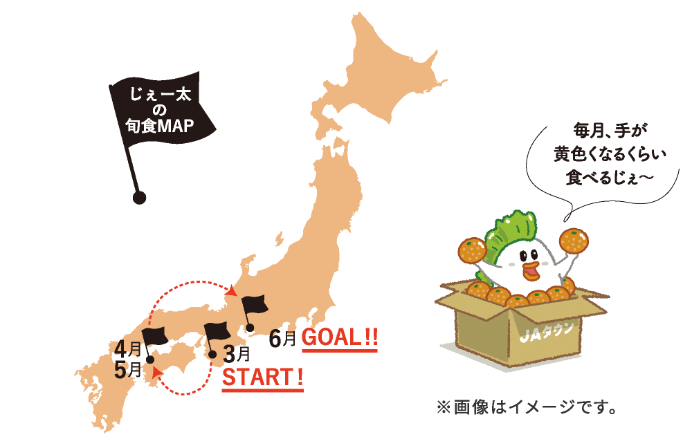 [̏{HMAP