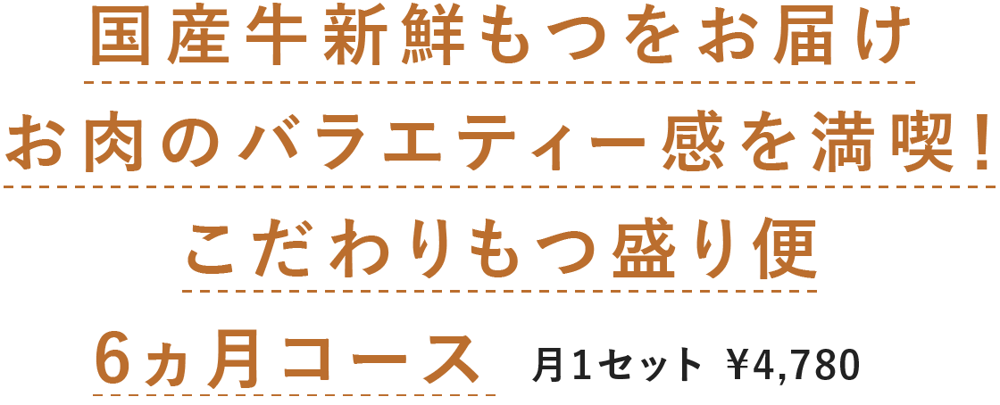 YVN͂̃oGeB[𖞋iI6R[X