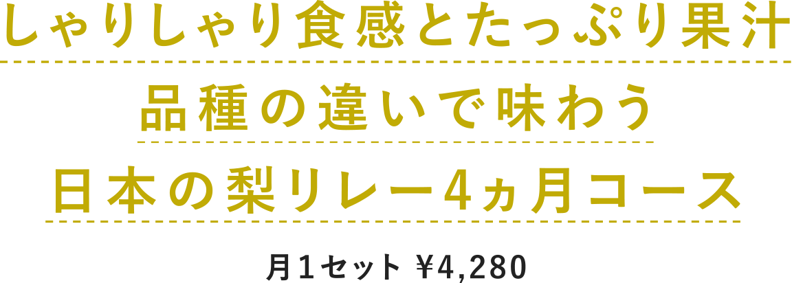 肵HƂՂʏ`ïႢŖ키{̗[4R[X