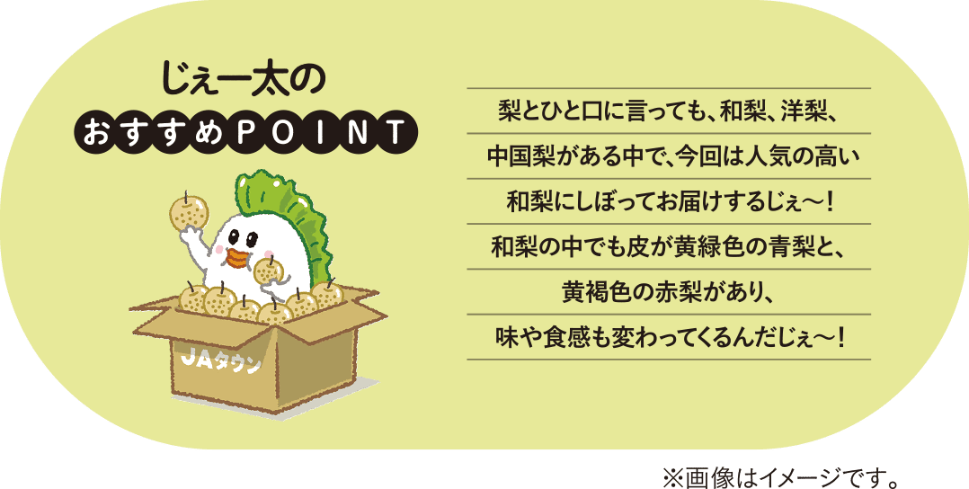 [̂POINT