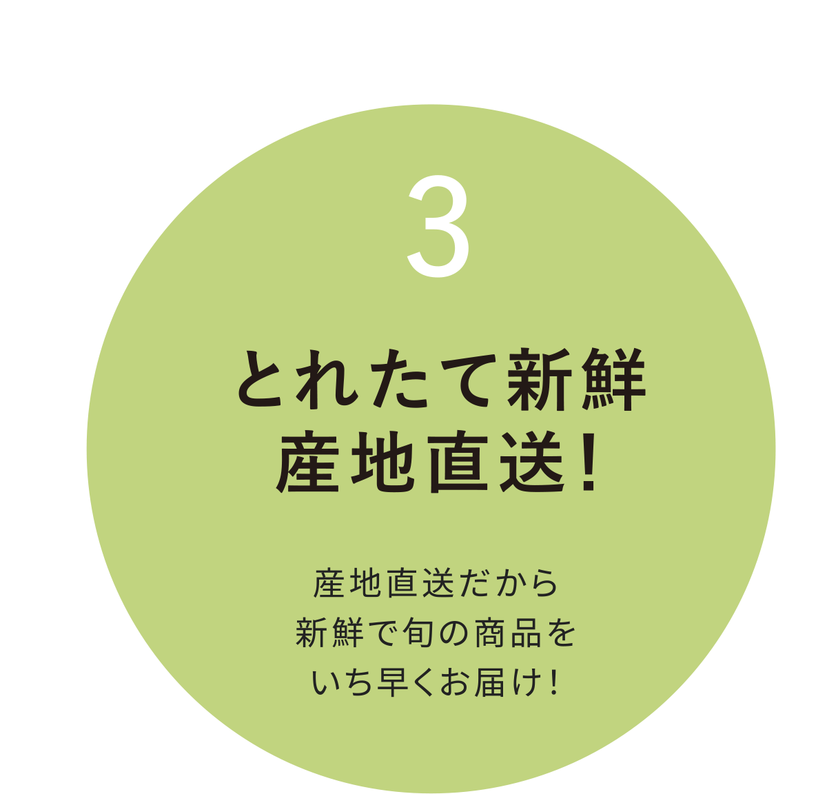 ƂꂽĐVNYnI