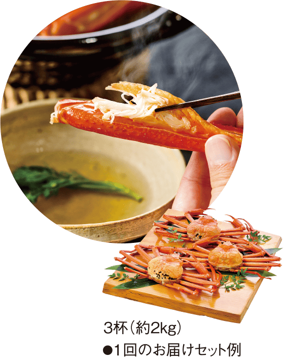 1回のお届けセット例