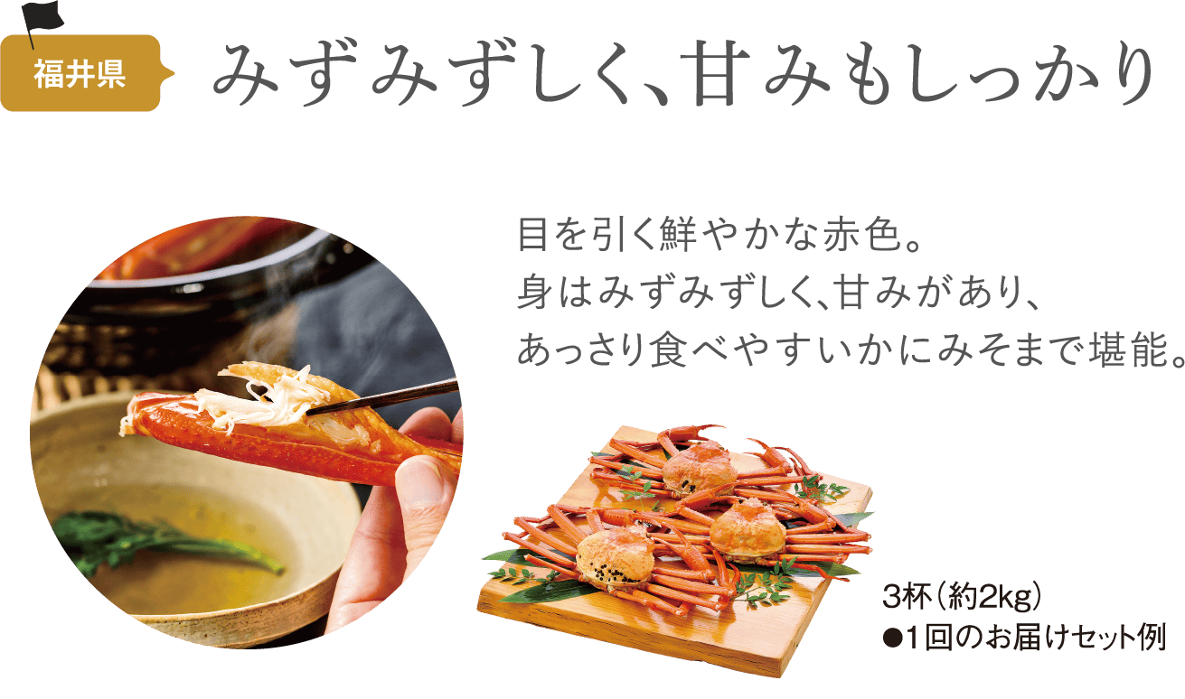 1回のお届けセット例