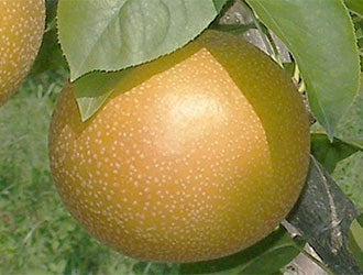 Â