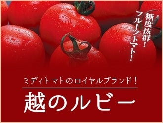 福井のトマト【越のルビー】
