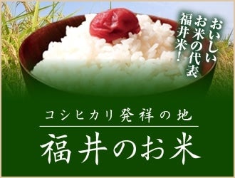 福井県のお米