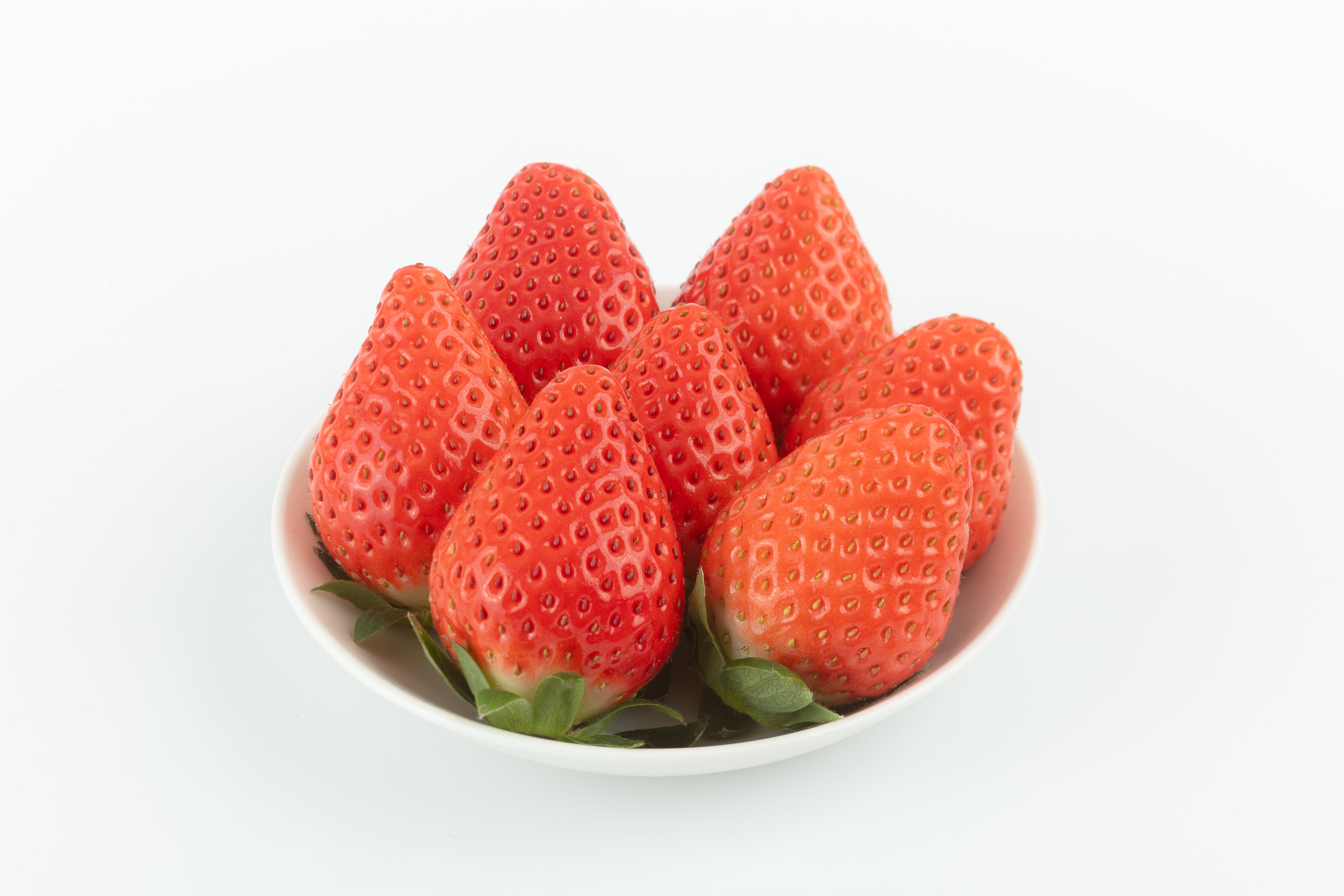 ���t���[�c