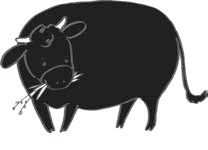 ���ガ����ƃV���[�Y