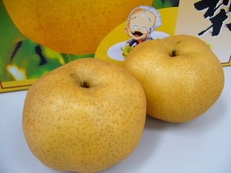 ���܂˂̏{�̐ʕ�