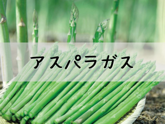 �A�X�p���K�X