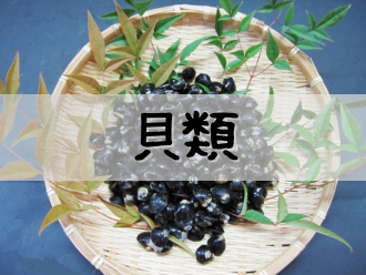 �L�i�����݁E�������j