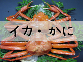 �C�J�E����