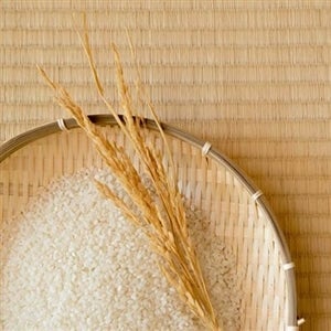 広島のお米（無洗米）