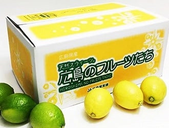 �L���̉ʕ�