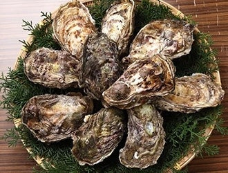 �L���̂����A�C�Y��