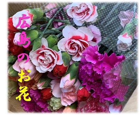 広島のお花