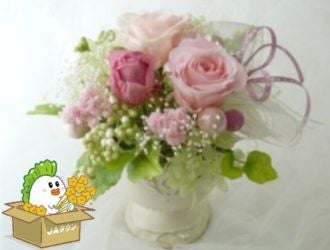 ��܂����̂���