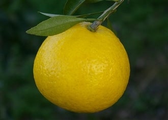 ����i�͂������j�E�͂邩