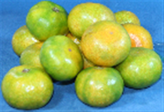 �ɑ����݂���
