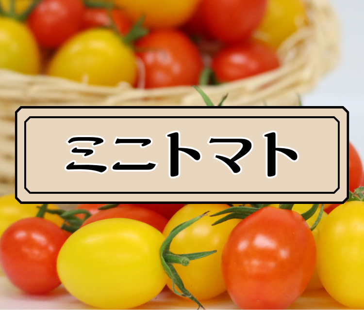 �~�j�g�}�g