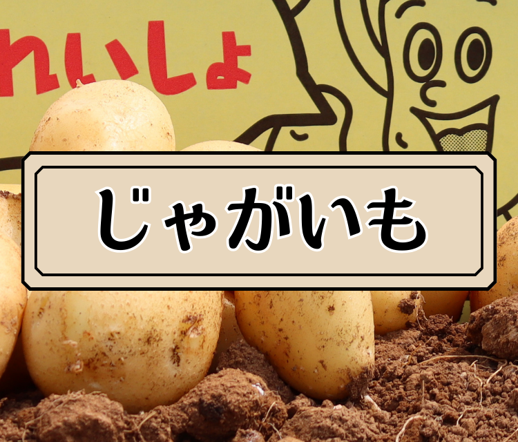 ���Ⴊ����