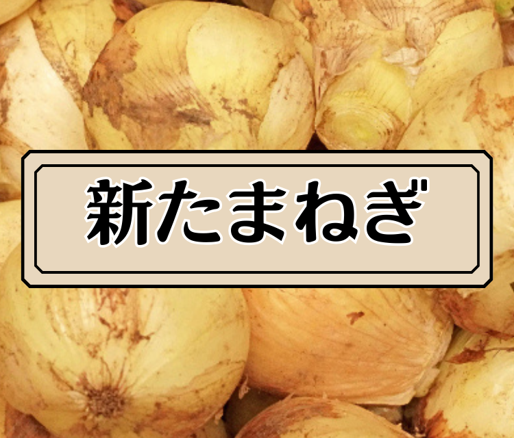 �V���܂˂�