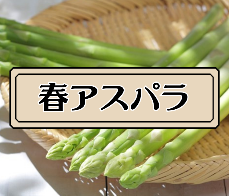 �t�A�X�p��