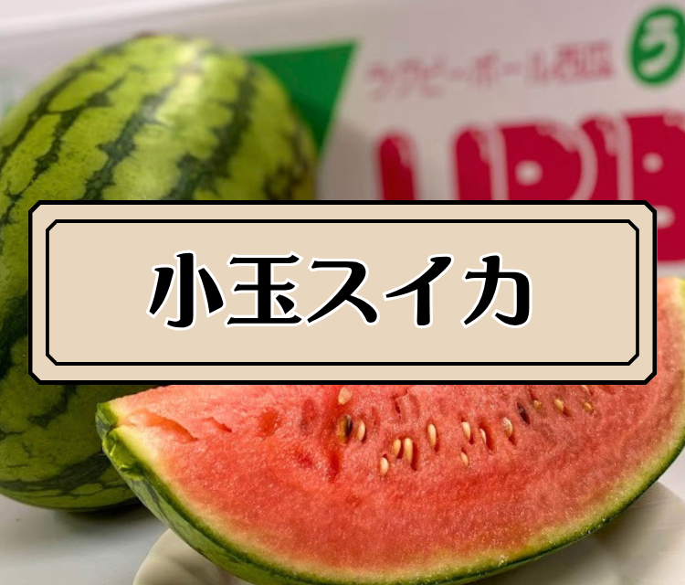 ���ʃX�C�J